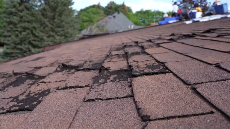 Best Hot Roofs  in Lake Vla, IL
