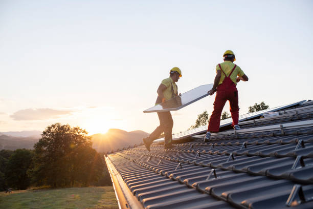 Best Roof Insulation Installation  in Lake Vla, IL