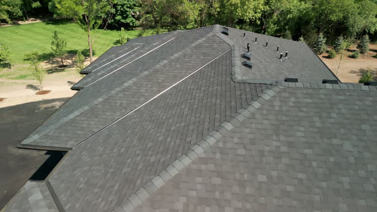 Best Slate Roofing  in Lake Vla, IL