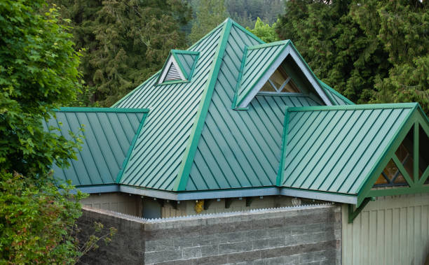 Best Roof Leak Repair  in Lake Vla, IL
