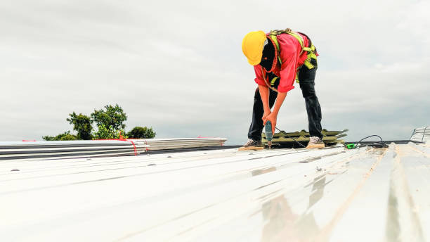 Best Chimney Flashing Repair  in Lake Vla, IL