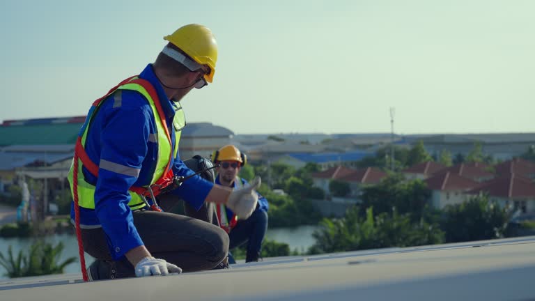 Best Asphalt Shingle Roofing  in Lake Vla, IL