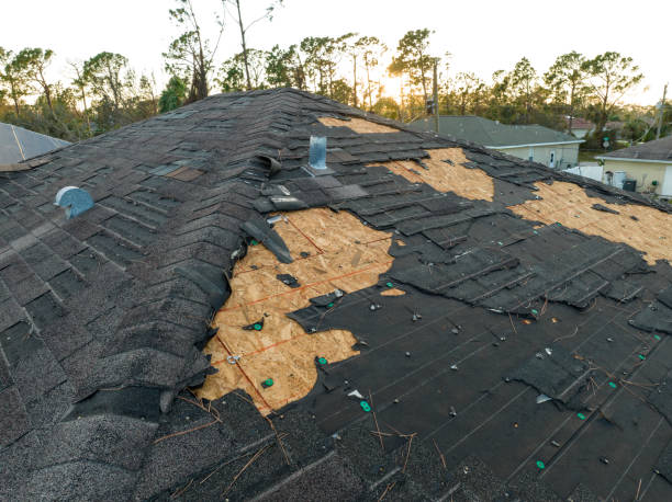 Best Roof Moss and Algae Removal  in Lake Vla, IL