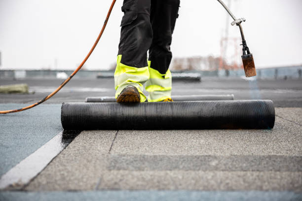 Best Gutter Installation and Repair  in Lake Vla, IL
