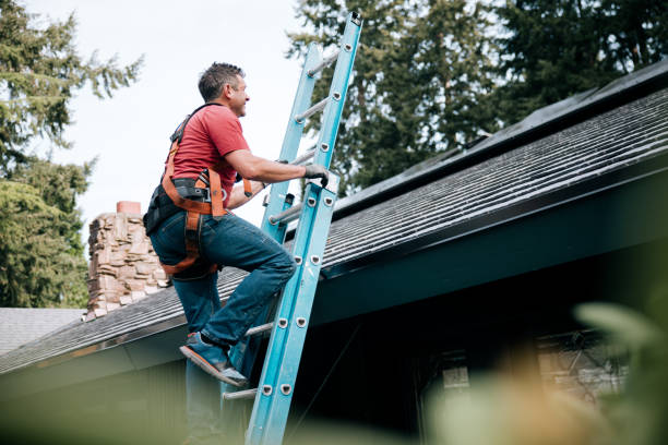Best Sheet Metal Roofing  in Lake Vla, IL