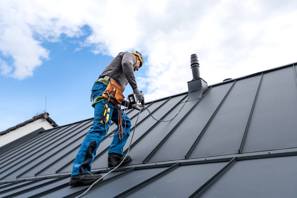 Best Steel Roofing  in Lake Vla, IL