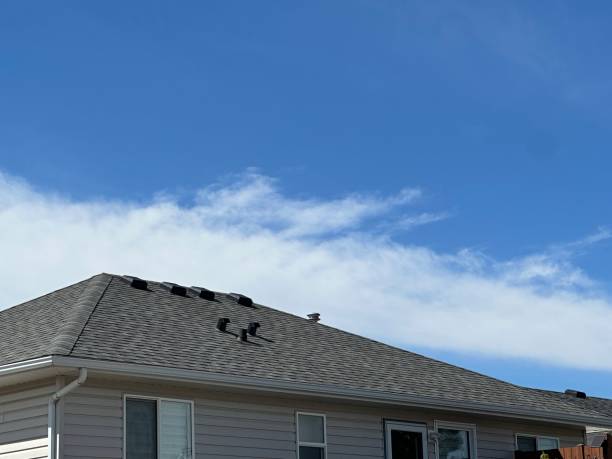 Gutter Replacement in Lake Villa, IL